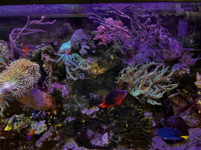 Part of tank.jpg