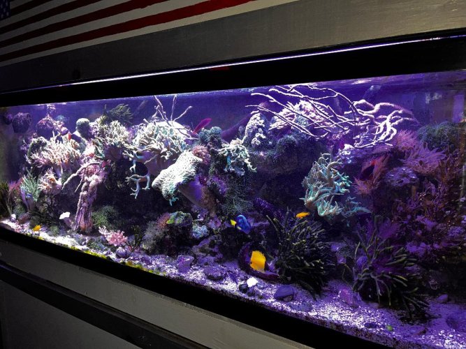 FTS August.jpg FTS August.jpg