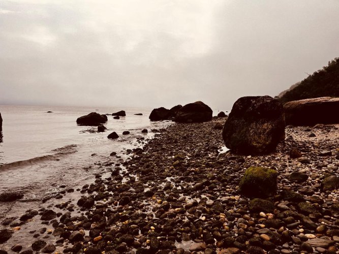 Foggy beach.jpg