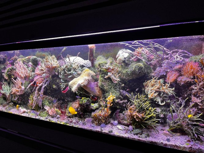FTS Aug 29.jpg FTS Aug 29.jpg