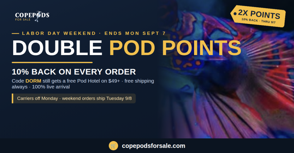 labor_day_2x_points_landscape.png labor_day_2x_points_landscape.png