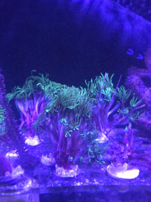 20260914_113904.jpg