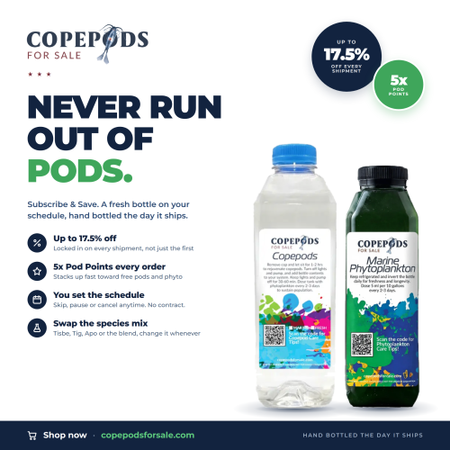 cfs-subscribe-save-banner.png cfs-subscribe-save-banner.png