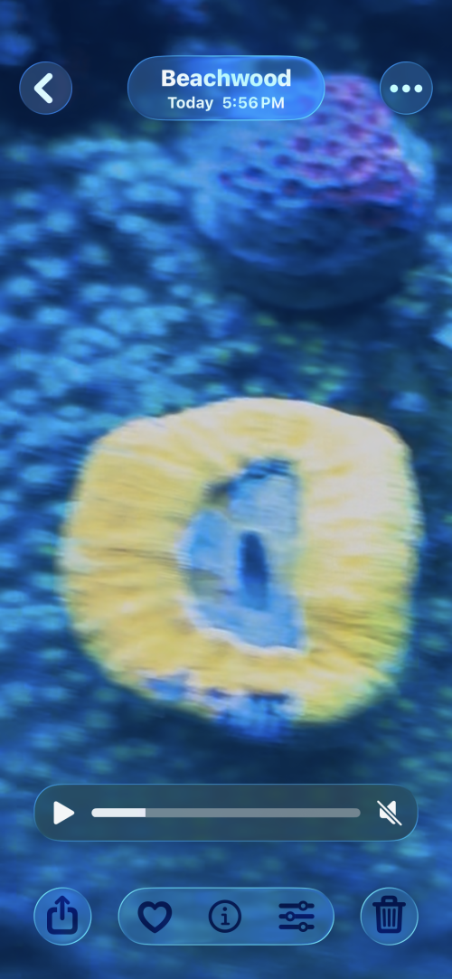 IMG_4780.png