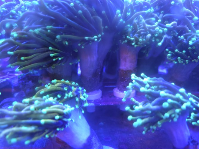 20261001_184913.jpg