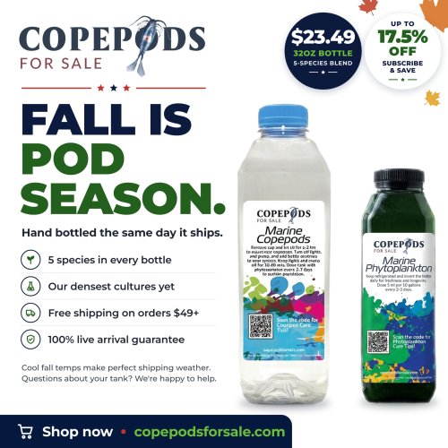 Fall is pod season, Copepods For Sale banner Fall is pod season, Copepods For Sale banner