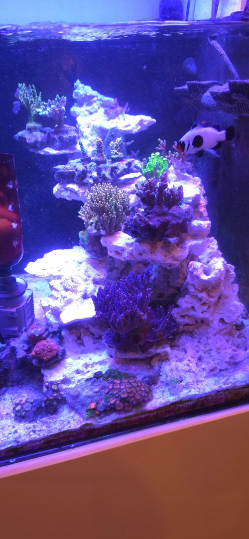 20261001_144035.jpeg
