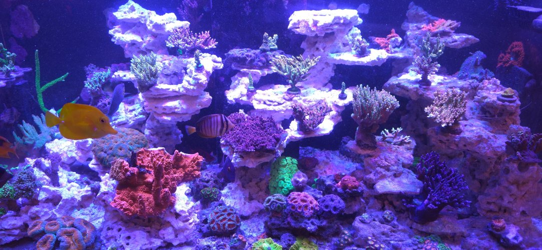 20261013_170917.jpeg