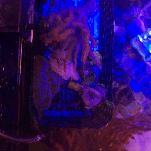 20261020_183217.jpg