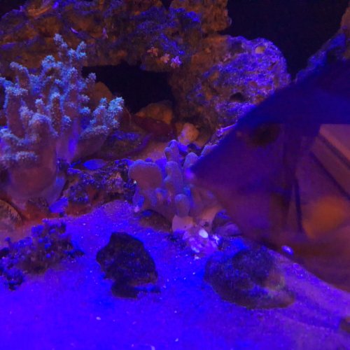 20261020_183136.jpg