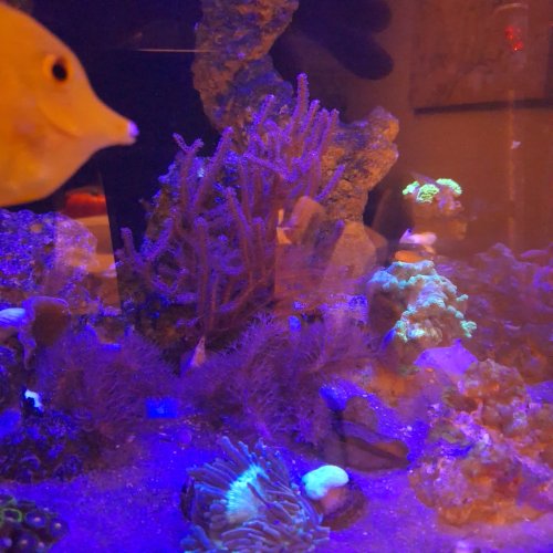 20261020_183133.jpg