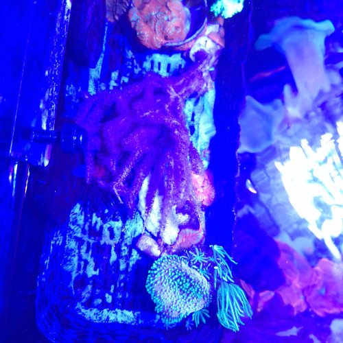 20261021_134743.jpg