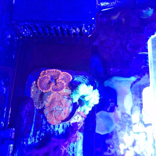 20261021_134736.jpg
