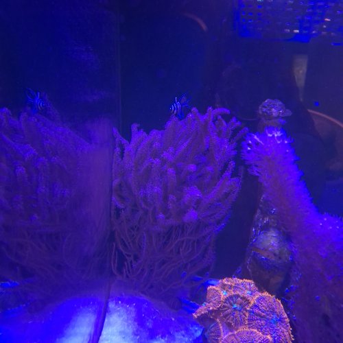 20261021_134621.jpg