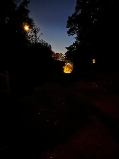 Dark Walk.jpg