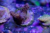 DSC_0148-2.jpg