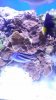 20140903_194310.jpg