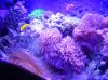 DSC03633.jpg