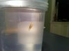Slug5.jpg Slug5.jpg