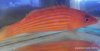 1-DSCN1340.jpg