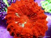 46-DSCN1400.jpg