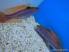 55-DSCN1411.jpg