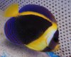59-DSCN1418.jpg