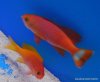 63-DSCN1424.jpg