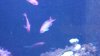 20150413_202337.jpg