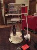 ImageUploadedByTapatalk1431827600.927665.jpg