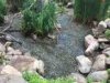 ImageUploadedByTapatalk1433894563.726083.jpg