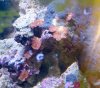 20150823_171715.jpg