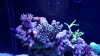 20151004_172137_resized_1.jpg