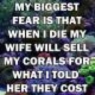 Carl1682