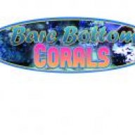 BareBottomCorals
