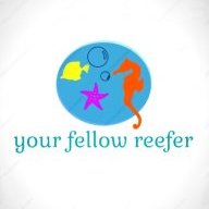 your fellow reefer