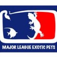 Major League