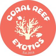 Coral Reef Exotics