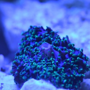 070933AB-1A6D-475E-822F-4A89F20E4EE4.jpeg