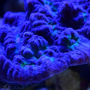 1C87B299-45E5-4658-A825-681D66DB9DC3.jpeg