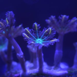 1A585FF6-C563-4545-B5BB-5905AD06C023.jpeg