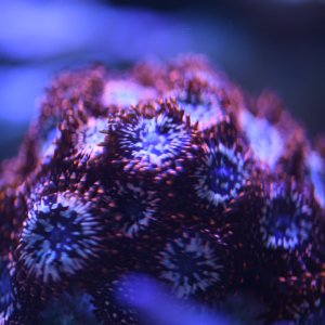 9C7B7202-DB8A-4E12-A755-936F71409827.jpeg