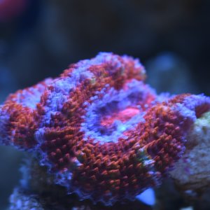 4D780E5D-A23C-40CF-95E1-CCFF40FDF823.jpeg