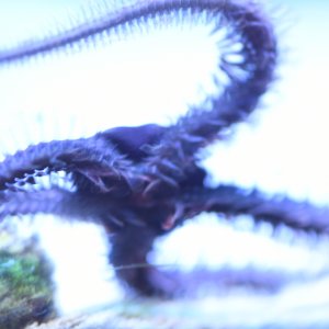 4072C426-C8AF-4DFF-8C6E-B1122E84836E.jpeg