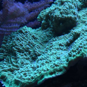 5BDA7145-B8C4-4EC5-BB3D-85D4B895D19C.jpeg