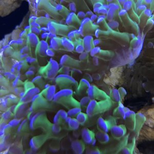 51CF43AF-D034-4BBA-92B2-BD56E3419D68.jpeg